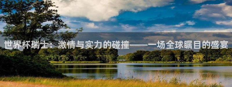 世预赛直播：世界杯瑞士：激情与实力的碰撞——一场全球瞩目的盛宴
