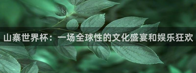 世界杯小组赛赛程:山寨世界杯:一场全球性的文化盛宴和娱乐狂欢