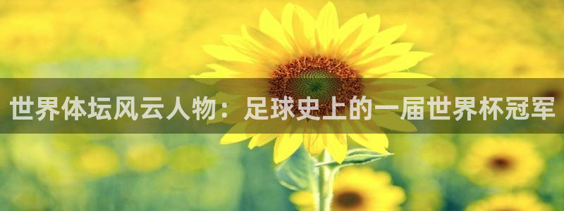 世界杯预选赛:世界体坛风云人物:足球史上的一届世界杯冠军