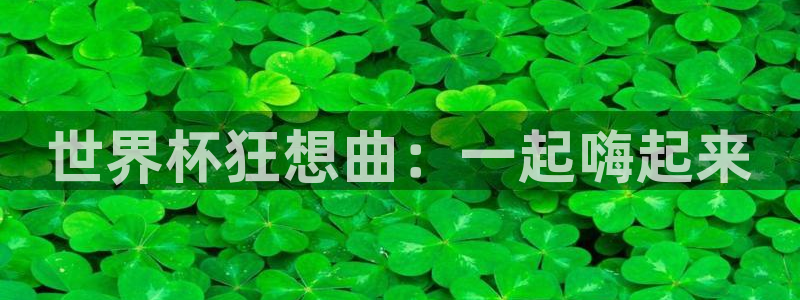 2026年世界杯对阵图：世界杯狂想曲：一起嗨起来