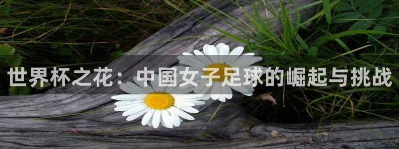 2026世界杯欧洲预选赛赛程表：世界杯之花：中国女子足球的崛起与挑战