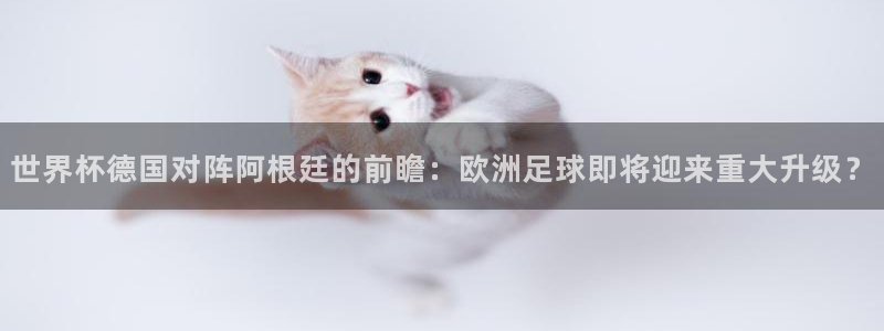 世界杯附加赛赛程表：世界杯德国对阵阿根廷的前瞻：欧洲足球即将迎来重大升级？