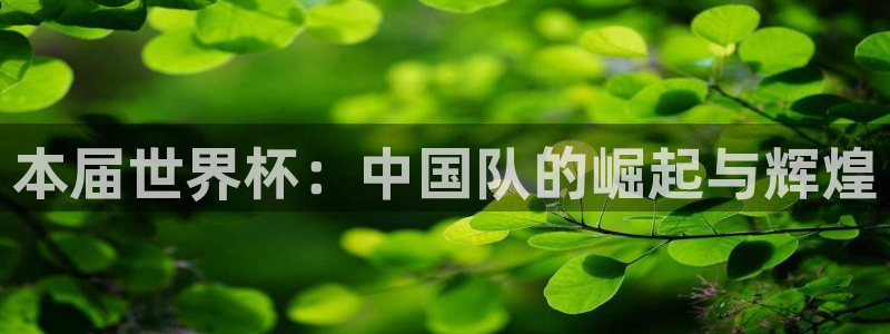 世界杯视频：本届世界杯：中国队的崛起与辉煌