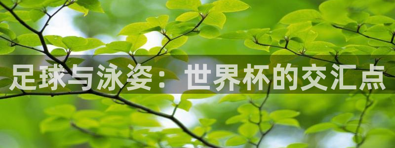 2026年世界杯赛程表时间：足球与泳姿：世界杯的交汇点