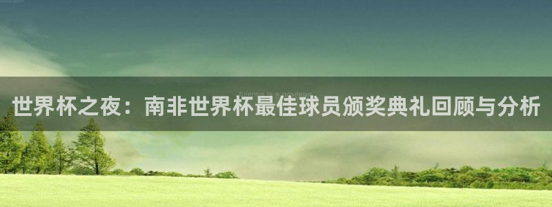 世界杯足球直播：世界杯之夜：南非世界杯最佳球员颁奖典礼回顾与分析