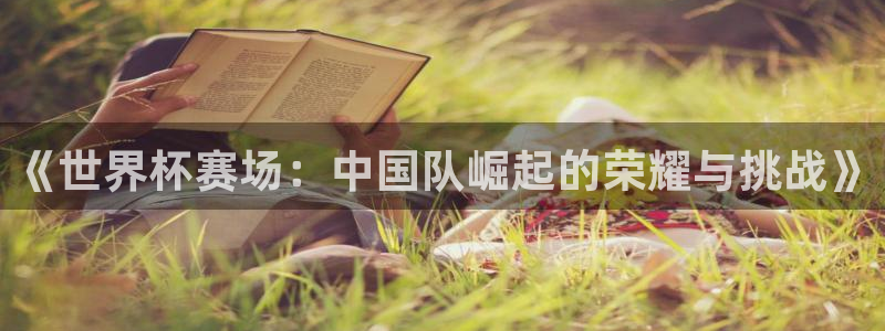 世界杯球队：《世界杯赛场：中国队崛起的荣耀与挑战》