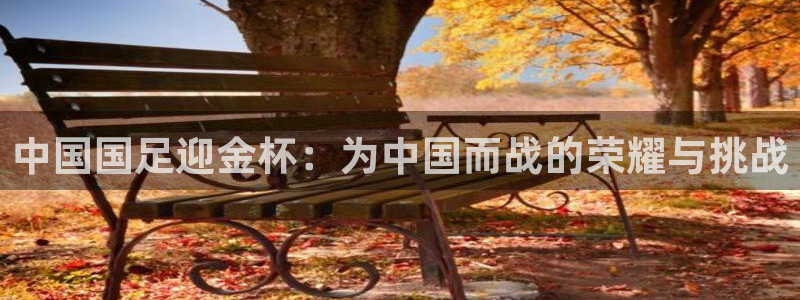 2026世界杯德国队阵容：中国国足迎金杯：为中国而战的荣耀与挑战