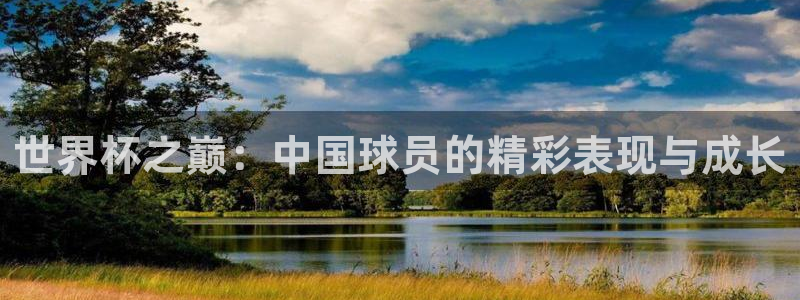 世界杯预选赛亚洲区积分榜：世界杯之巅：中国球员的精彩表现与成长