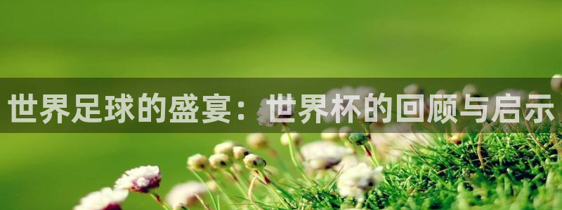 世界杯对阵表：世界足球的盛宴：世界杯的回顾与启示