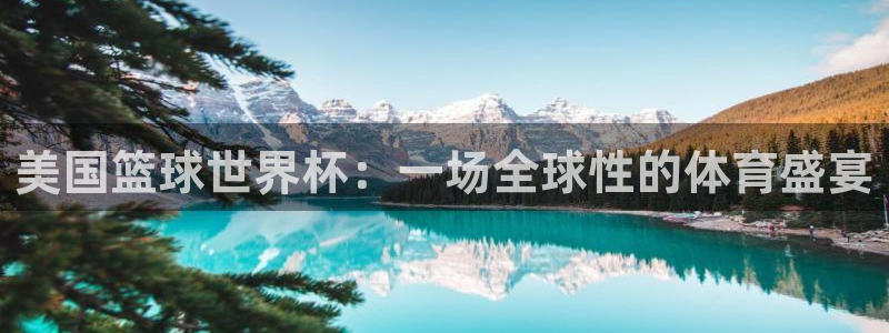 世界杯球赛：美国篮球世界杯：一场全球性的体育盛宴