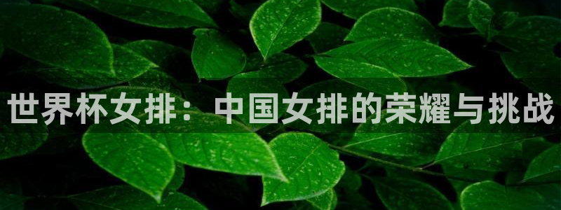 世界杯直播在线观看入口：世界杯女排：中国女排的荣耀与挑战