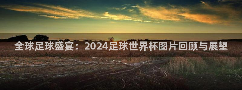 亚洲杯足球：全球足球盛宴：2024足球世界杯图片回顾与展望