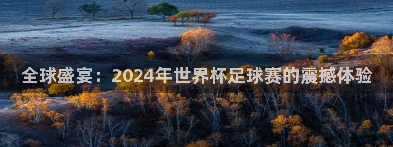 世界杯2026预选赛：全球盛宴：2024年世界杯足球赛的震撼体验